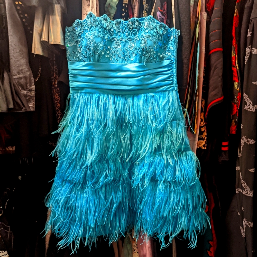 NWT Masquerade Feather and Sequins Dress